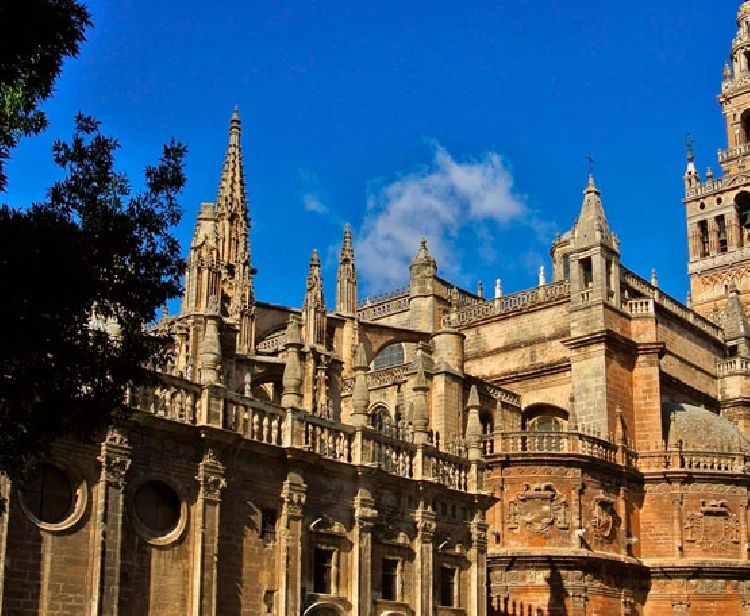 Visitar catedral de Sevilla con entradas