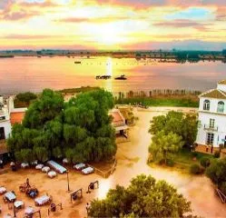 Tour en bici por Sevilla