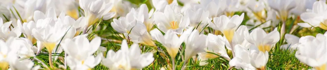 Destinos para visitar en primavera