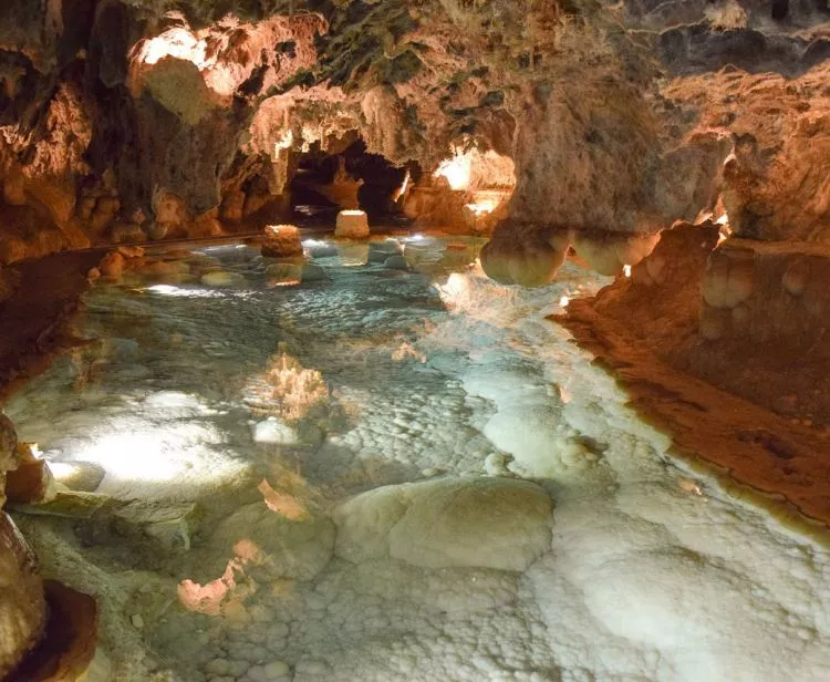 Excursion de Sévilla à Cadix-Jerez