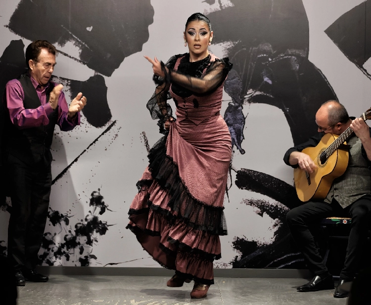 Centre flamenco de Séville 