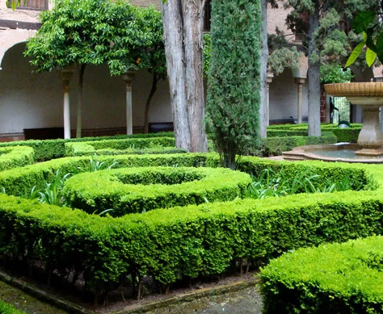 Excursion d'une journée à Granada depuis Malaga