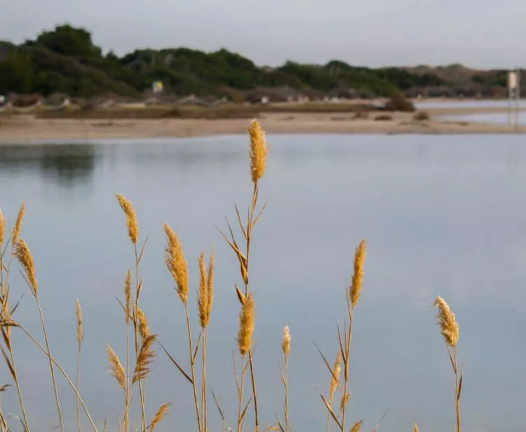 Excursion à l'Albufera depuis Valence