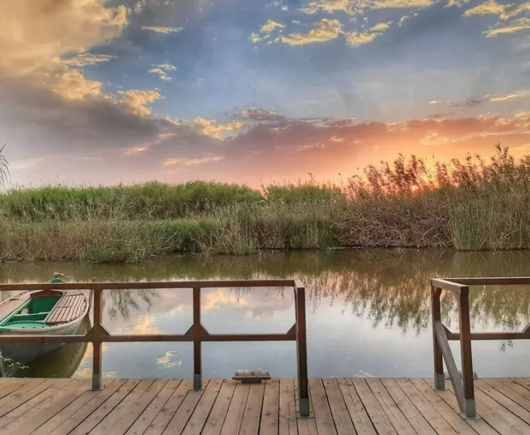 Excursion à l'Albufera depuis Valence