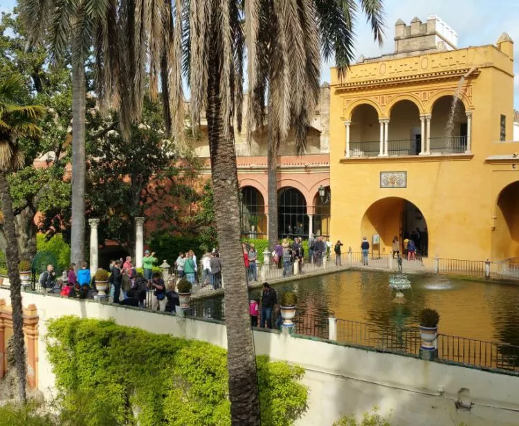 Tour du Quartier Juif Santa Cruz   + Tour guidé dans la Cathédrale & Giralda de Séville 