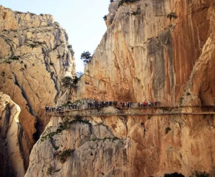 Découvrez le chemin du roi