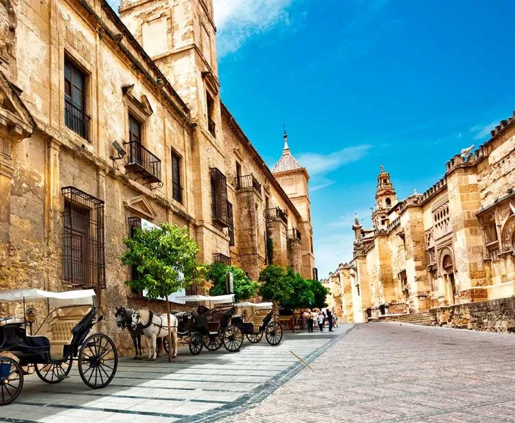 Visite du quartier juif et de l'Alcazar de Cordoue			