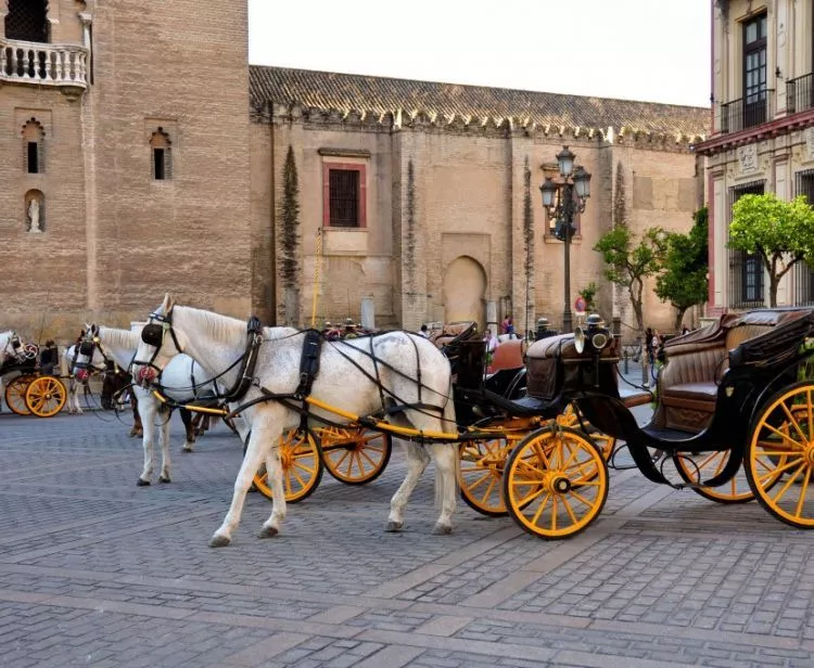 Promenade en calèche avec prise en charge à l'hôtel depuis le centre historique.