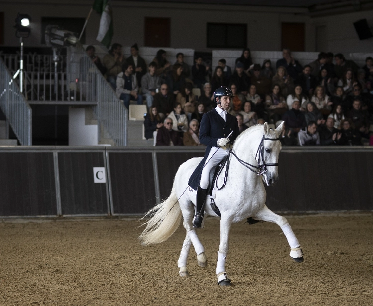 Afficher le spectacle  traditions haras torreluna