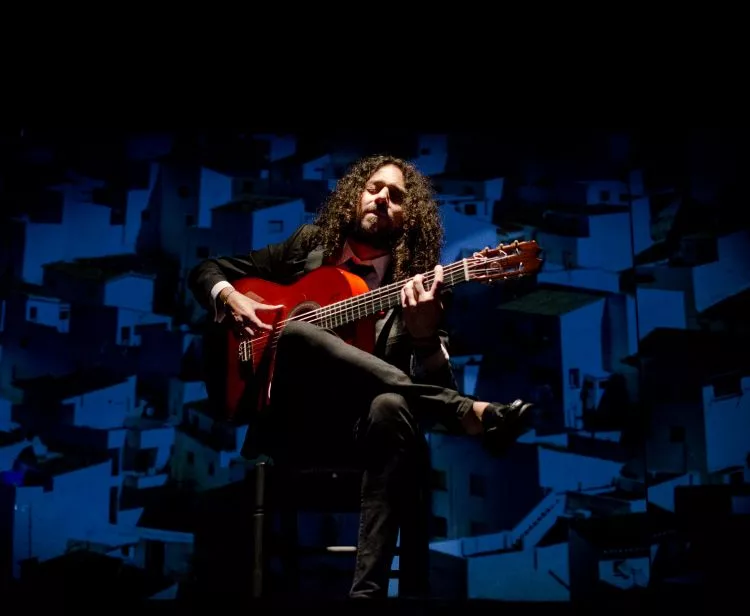 Visite du palais royal et spectacle de flamenco