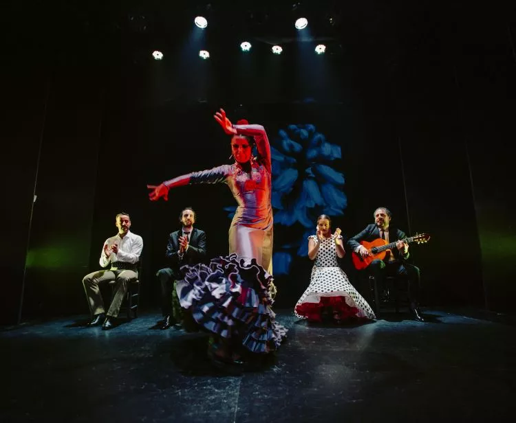 Visite du palais royal et spectacle de flamenco