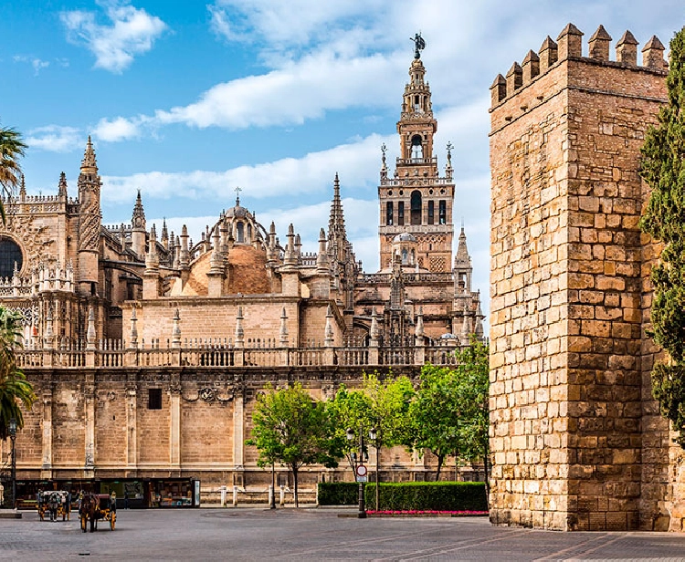 Tour guidé dans la Cathédrale & Giralda de Séville 