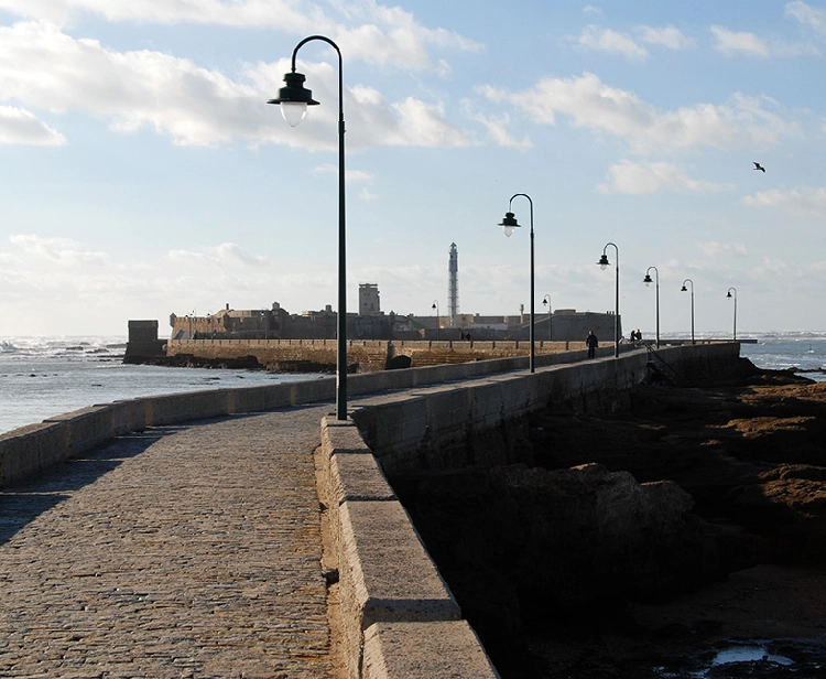 Excursion de Sévilla à Cadix-Jerez