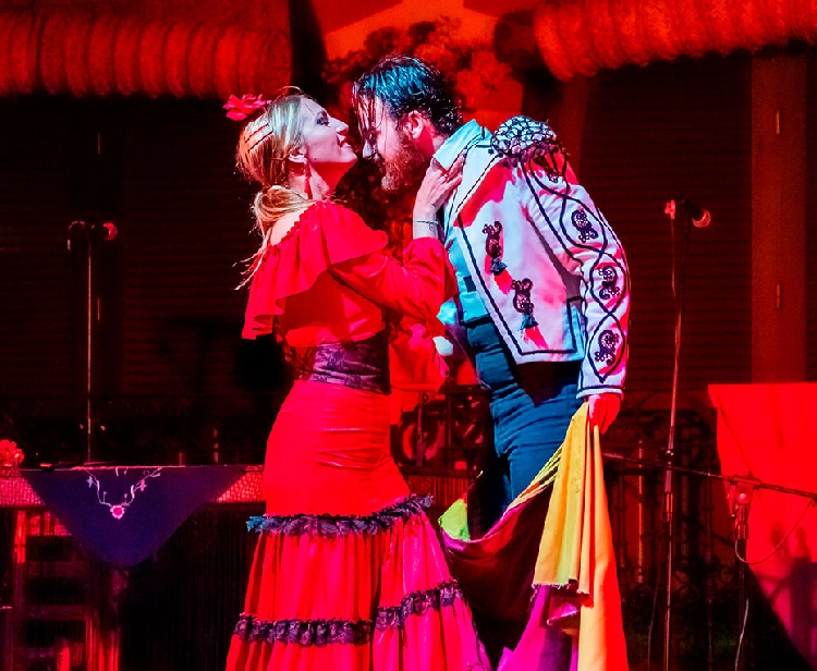 Spectacle de Flamenco à Séville avec Tapas