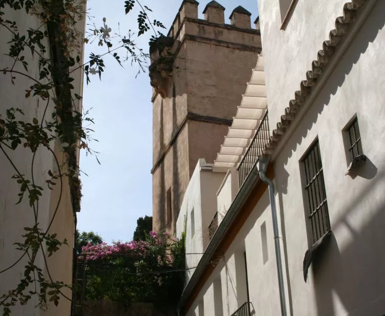 Tour du Quartier Juif Santa Cruz   + Tour guidé dans la Cathédrale & Giralda de Séville 