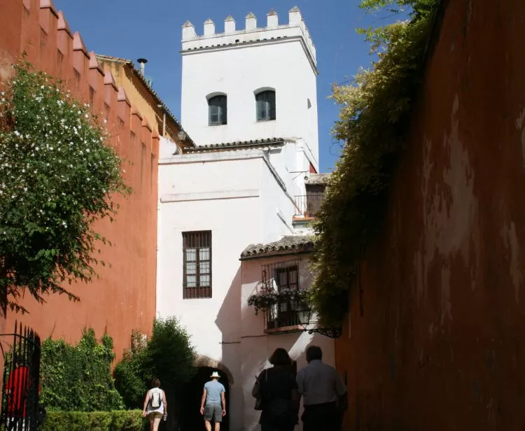 Tour du Quartier Juif Santa Cruz   + Tour de Flamenco à Séville 