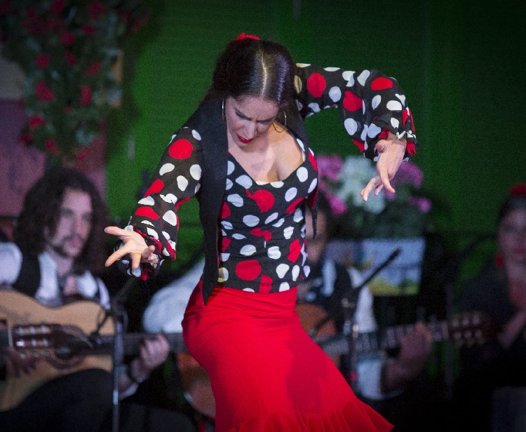 Croisière+Autobus+Flamenco