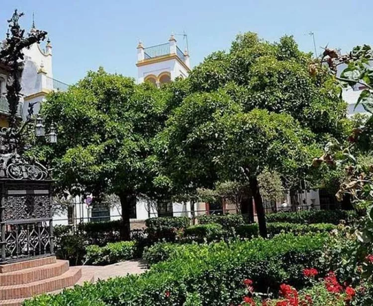Santa Cruz et Plaza de España