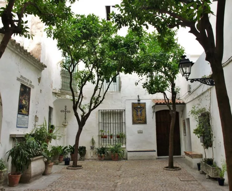 Tour du Quartier Juif Santa Cruz   + Croisière sur le fleuve Guadalquivir de Séville