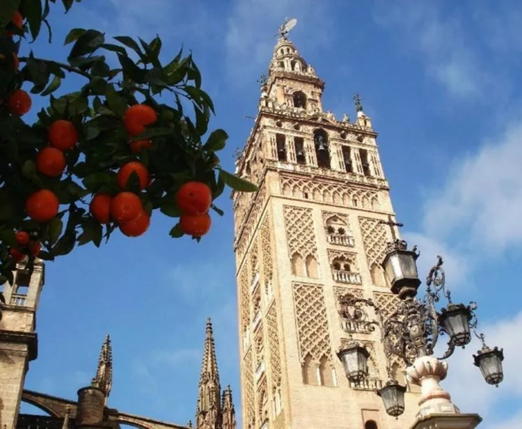 Catedral + Flamenco