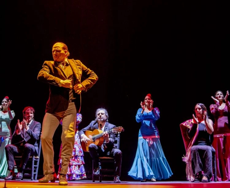 Spectacle de flamenco + tournée de tapas