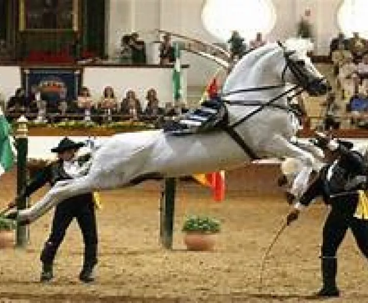 Tours en Jerez