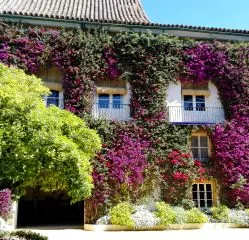 Tours à Seville