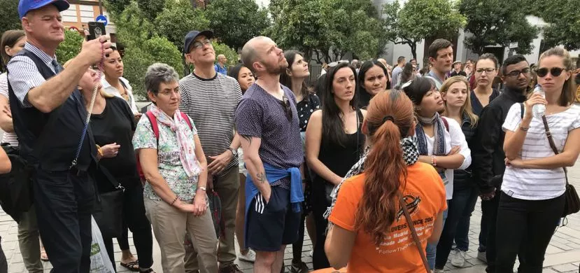 Visites guidées à Grenade et à l