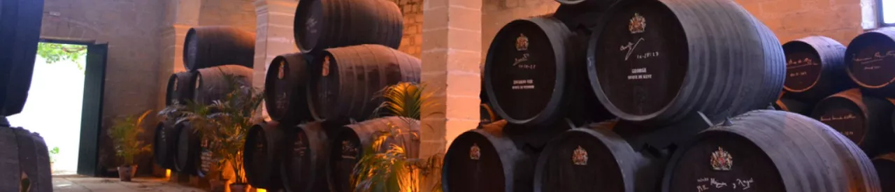 Sherry wines the best in Spain according to the Peñin Guide