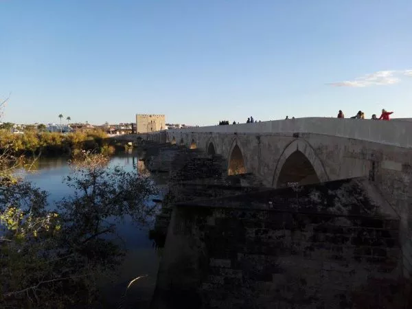 Tours in Cordoba