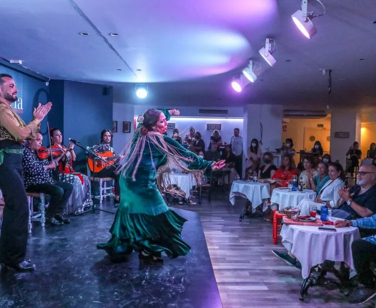 Malaga Flamenco show