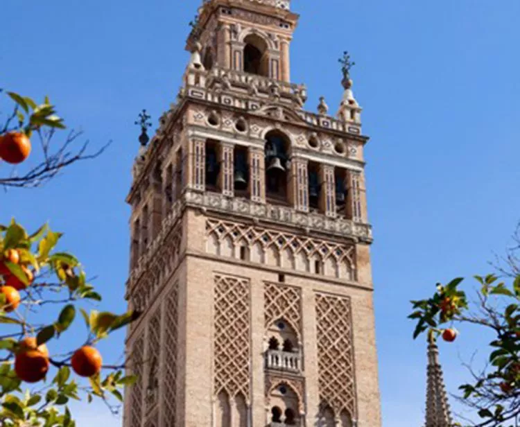 Day trip from Jerez to Seville