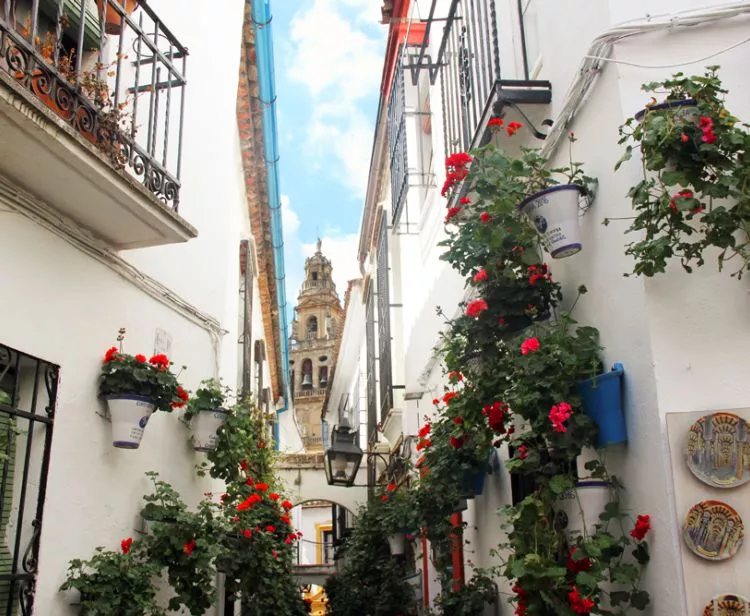 Private tour downtown cordoba