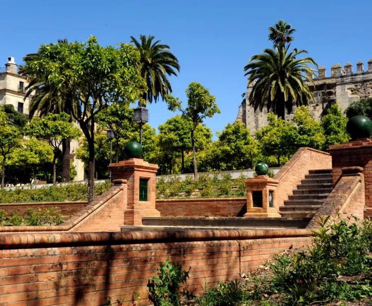 Jerez Free Walking Tour 