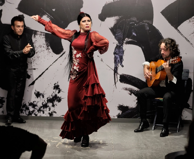 Seville Flamenco Centre 