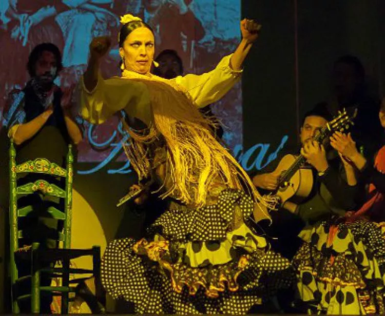 Flamenco Show Los Amaya