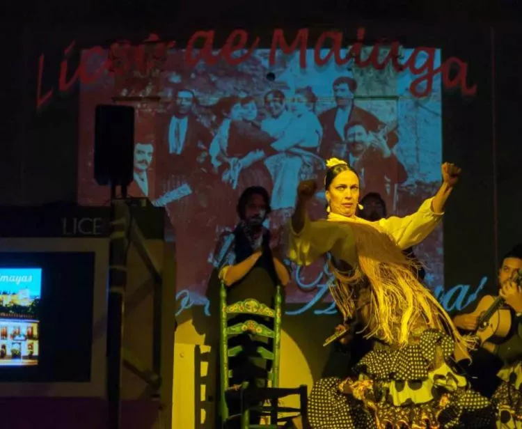 Malaga Flamenco show
