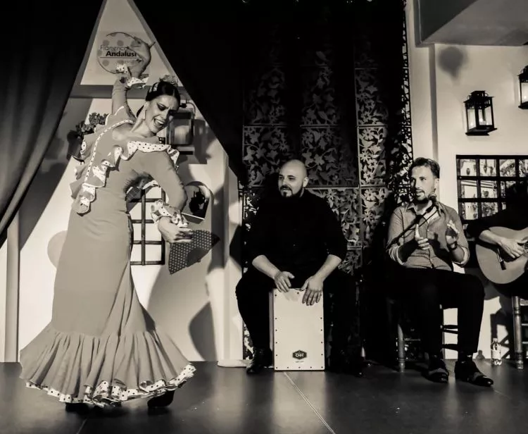 Flamenco Andalusi