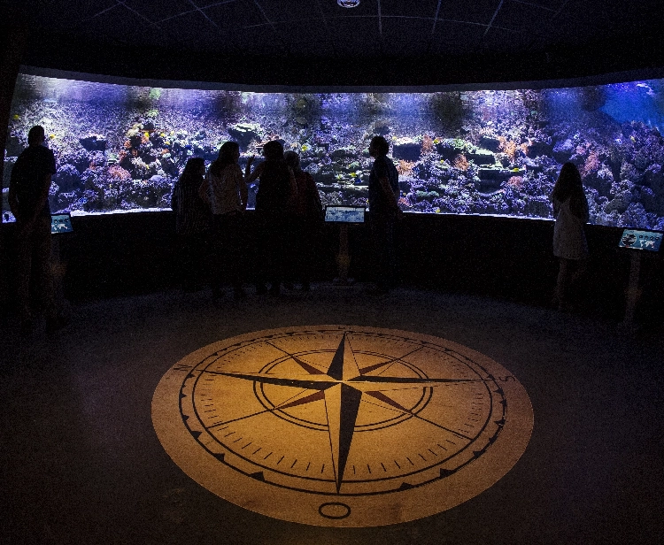 Aquarium of Seville
