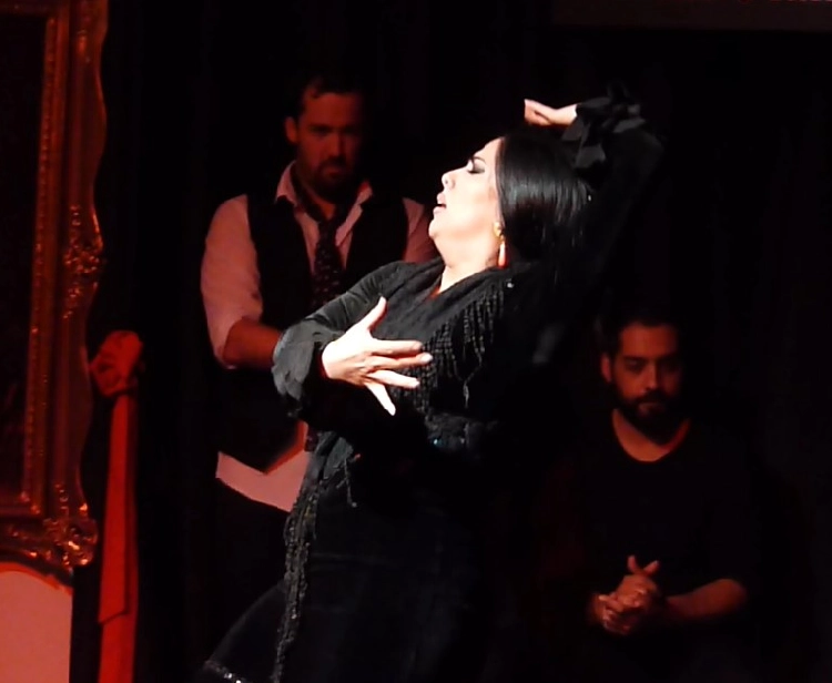 Flamenco in the Center of Granada + Drink