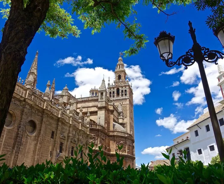 Tour inside the Royal Alcazar + Cathedral & Giralda