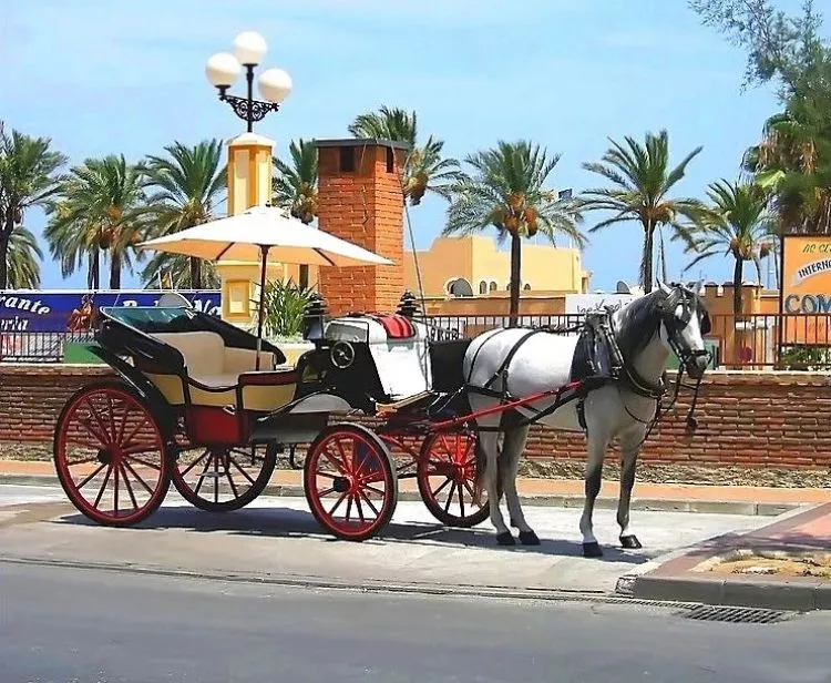 Horse-drawn carriage ride 45 Min  
