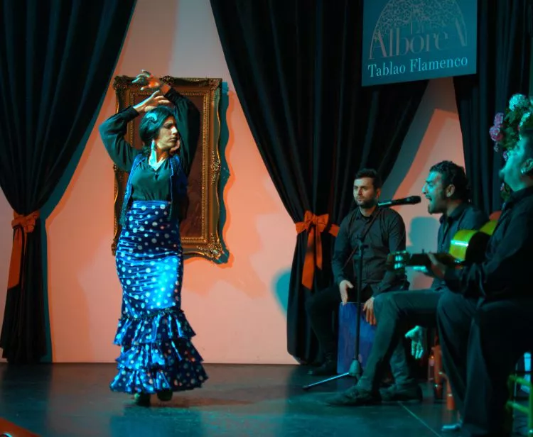 Granada Flamenco show 