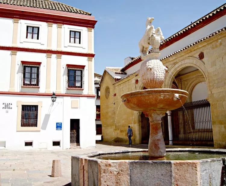Group excursion from Malaga to Córdoba