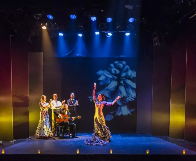 Flamenco Theatre Madrid
