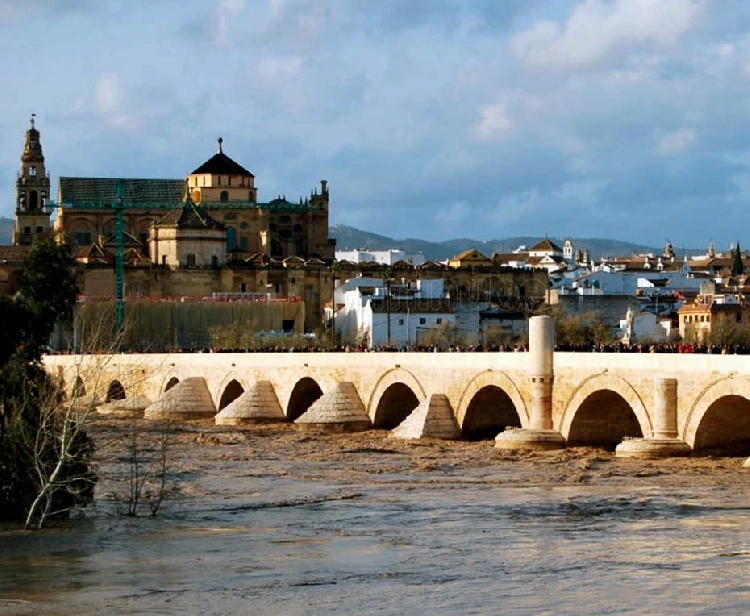 Excursion from Seville to Cordoba in one day