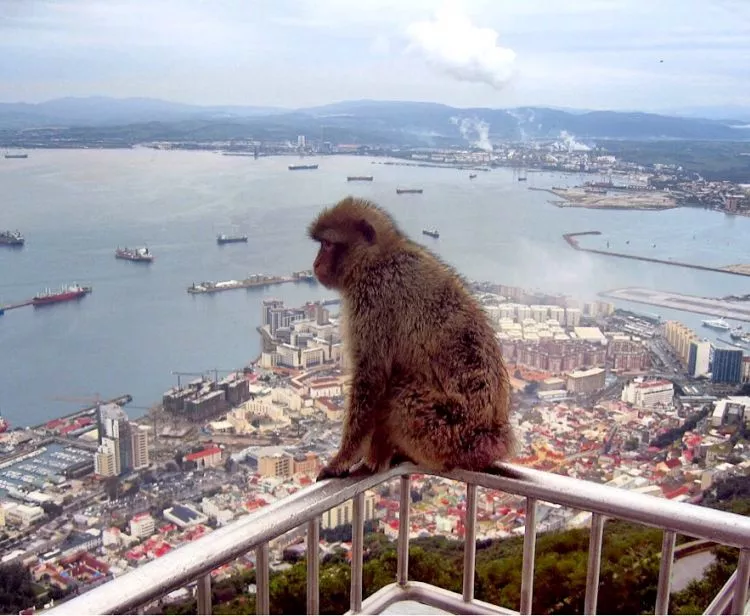 Group excursion from Seville to Gibraltar