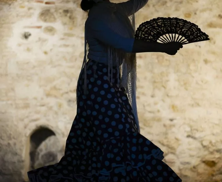 Alcazar Tour  + Flamenco Show