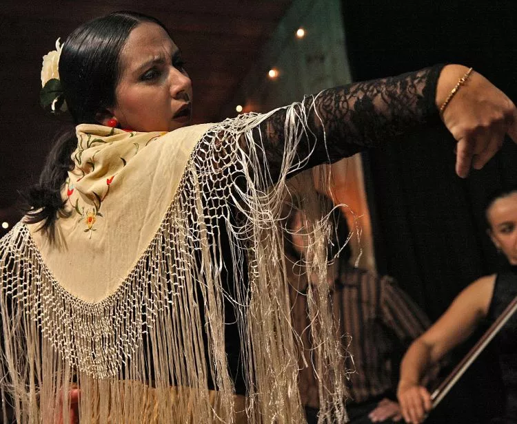 Alcazar Tour  + Flamenco Show