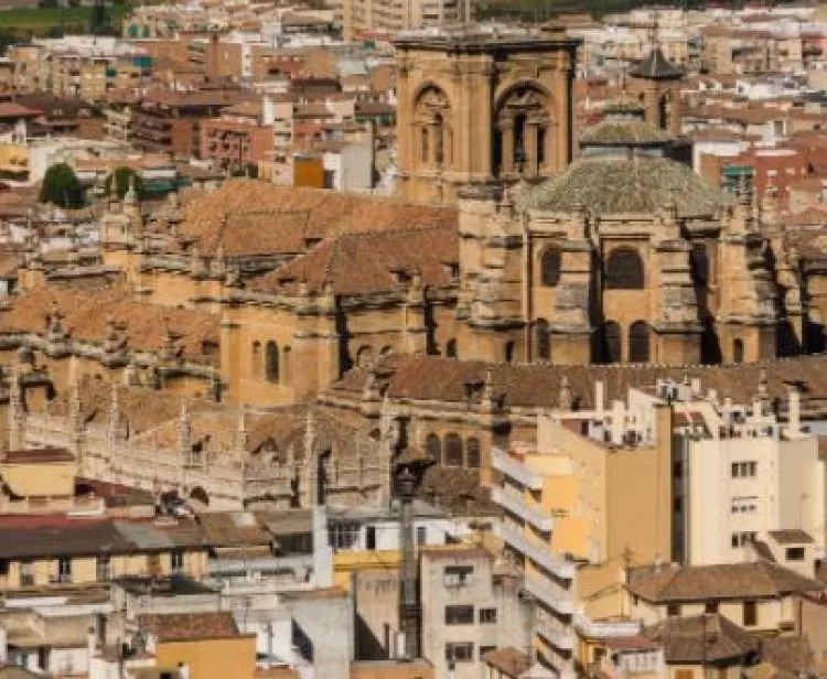 Albaicin and Granada city centre  private tour